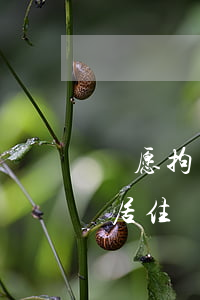 寧愿拘留逮捕也不愿指定監(jiān)視居住這是為什么？